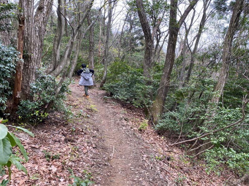 f:id:A---chan:20200418213309j:plain