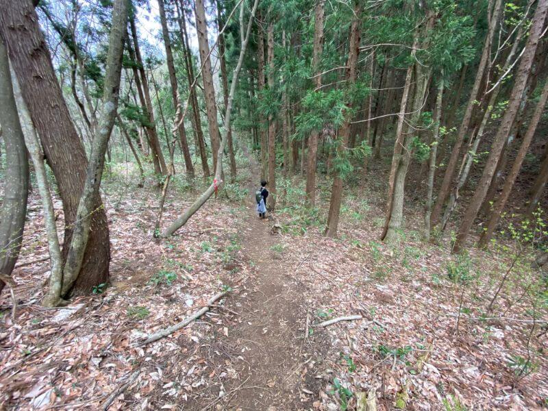 f:id:A---chan:20200418213542j:plain