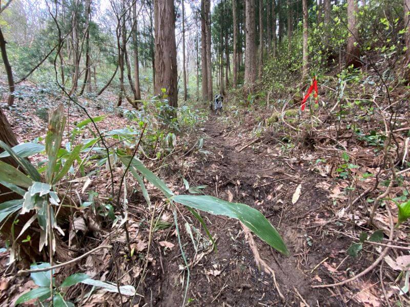 f:id:A---chan:20200418213713j:plain