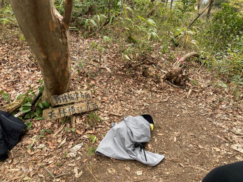 f:id:A---chan:20200418213837j:plain