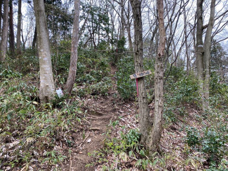 f:id:A---chan:20200418213852j:plain