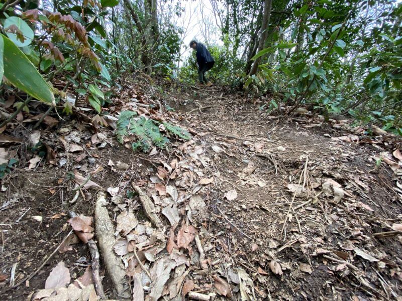 f:id:A---chan:20200418214349j:plain