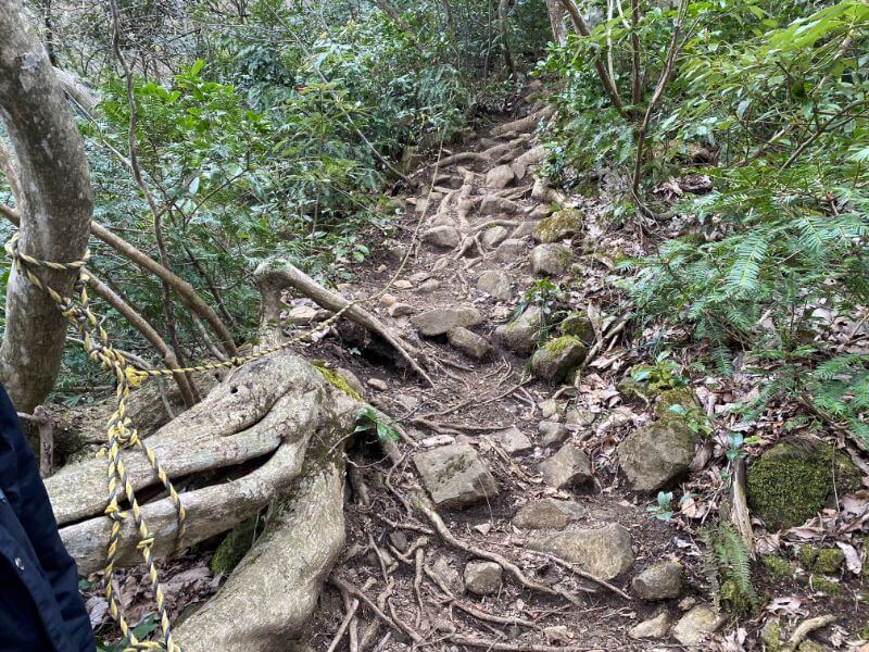 f:id:A---chan:20200418214407j:plain