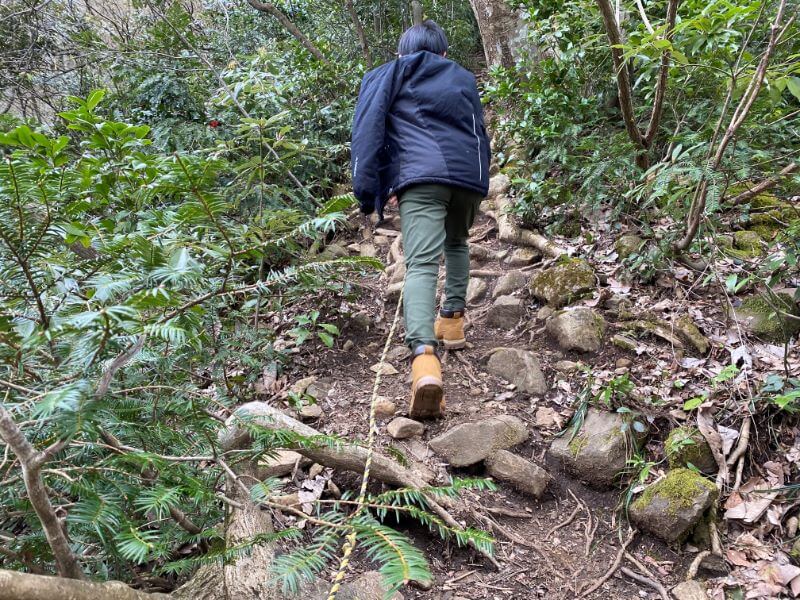 f:id:A---chan:20200418214522j:plain