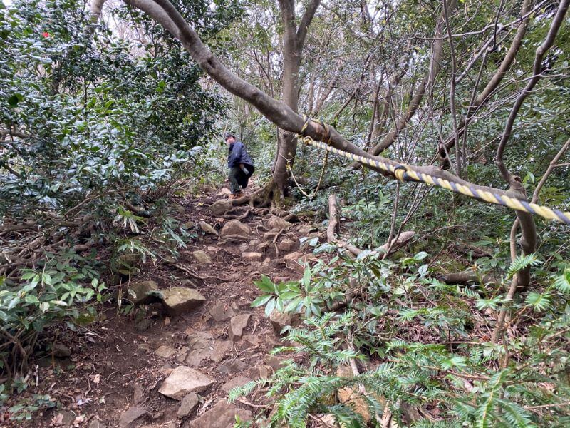 f:id:A---chan:20200418214537j:plain