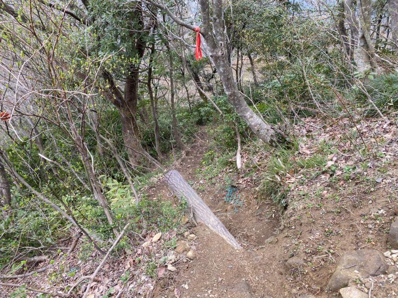 f:id:A---chan:20200418215033j:plain