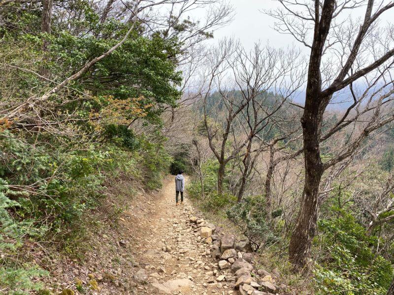 f:id:A---chan:20200418220701j:plain