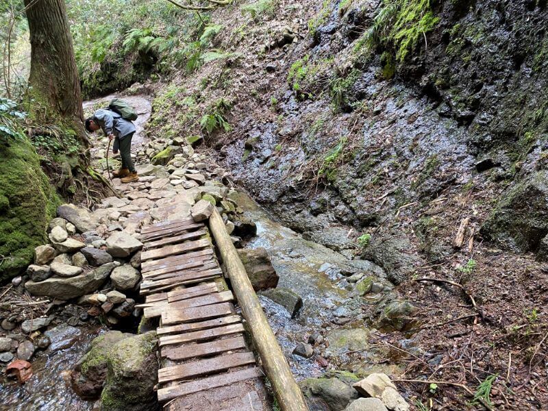 f:id:A---chan:20200418221054j:plain