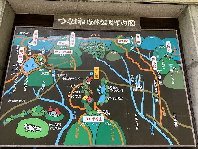 f:id:A---chan:20200529092450j:plain