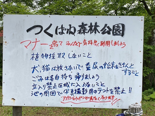 f:id:A---chan:20200529092529j:plain