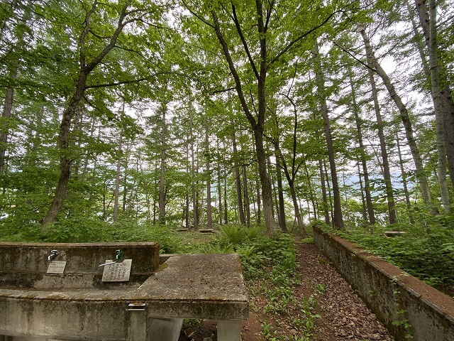 f:id:A---chan:20200604151335j:plain