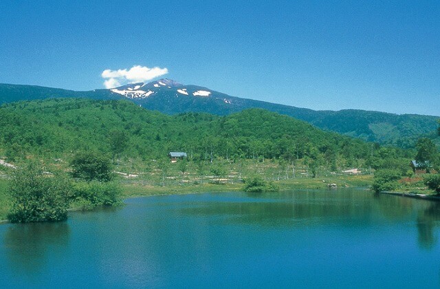 f:id:A---chan:20200620103202j:plain