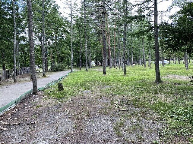 f:id:A---chan:20200703175127j:plain