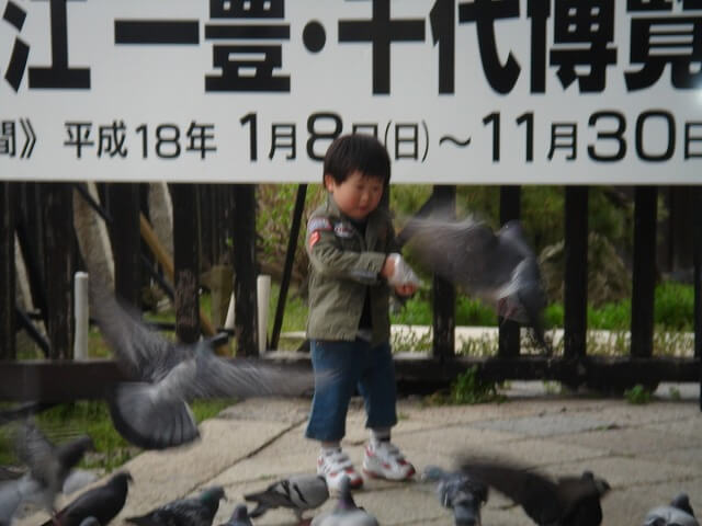 f:id:A---chan:20200704113232j:plain