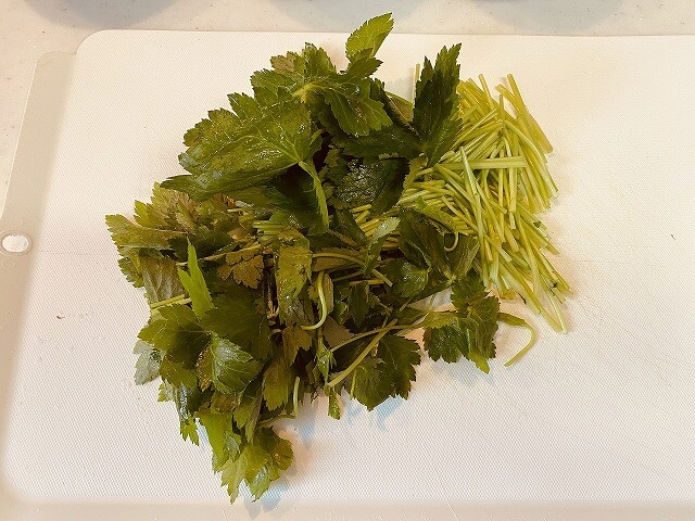 f:id:A---chan:20200723155942j:plain