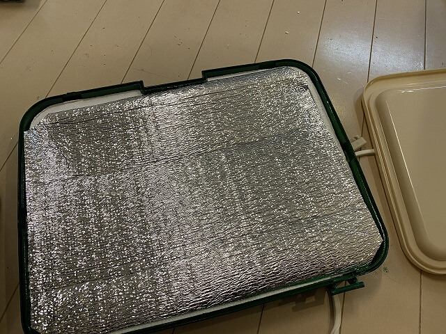 f:id:A---chan:20200920125837j:plain