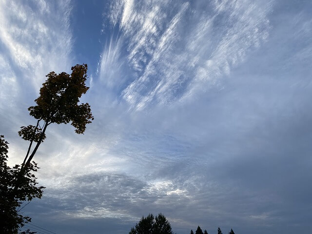 f:id:A---chan:20201031075059j:plain