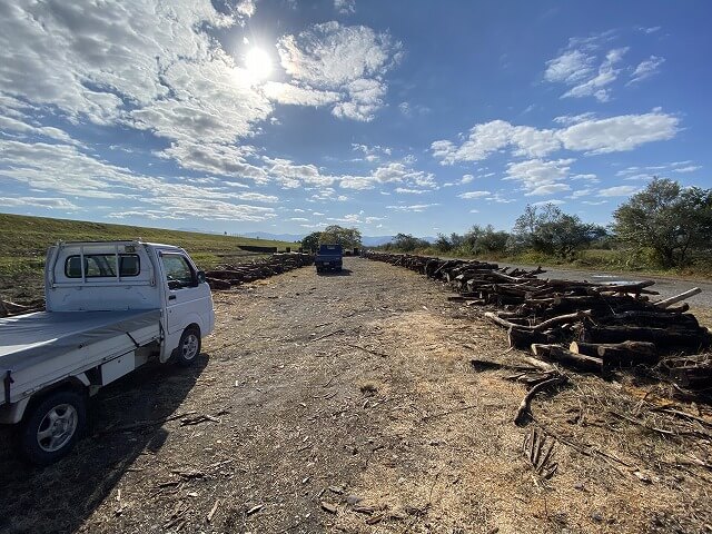 f:id:A---chan:20201109191220j:plain