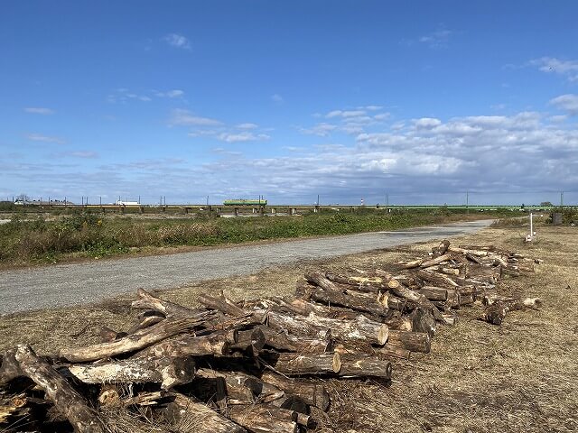 f:id:A---chan:20201109191246j:plain