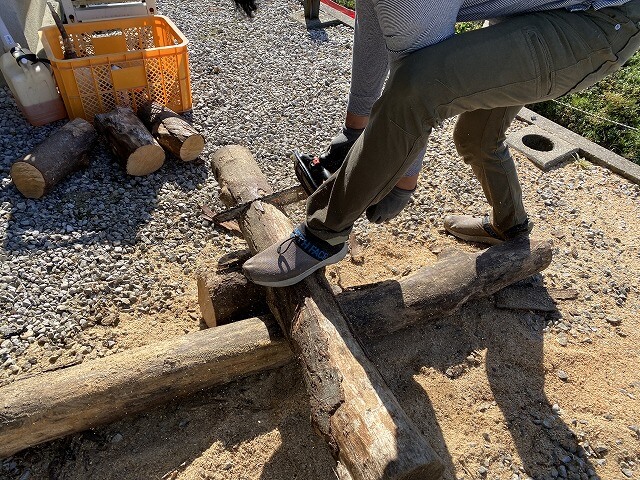 f:id:A---chan:20201109191917j:plain