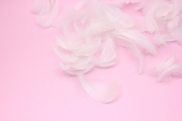 f:id:A---chan:20201205114536j:plain