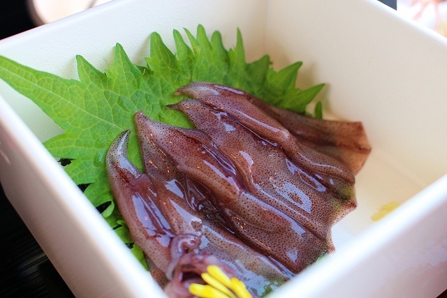 f:id:A---chan:20210123214530j:plain