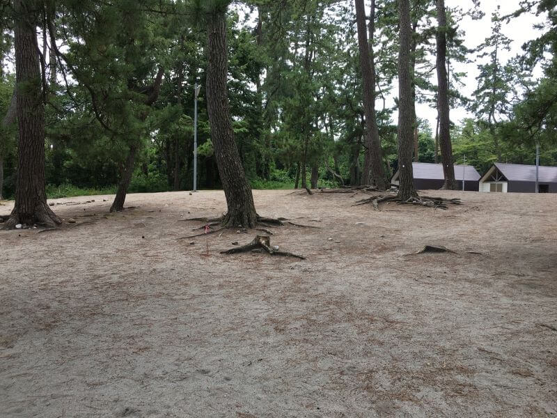 f:id:A---chan:20210328070639j:plain