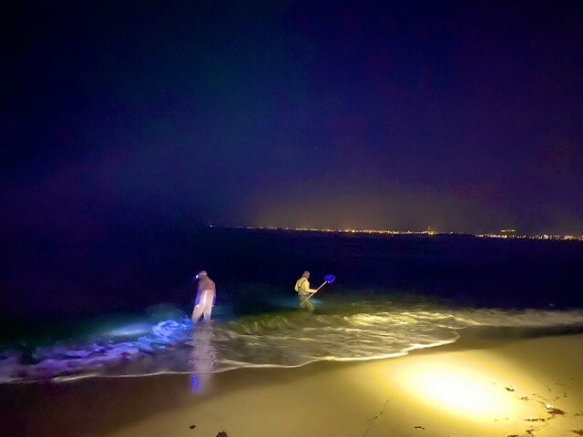 f:id:A---chan:20210427093008j:plain