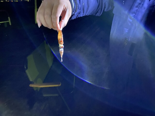 f:id:A---chan:20210427094151j:plain