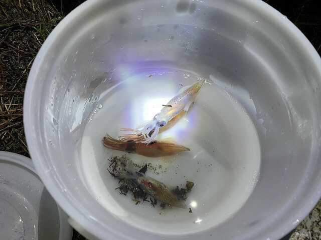 f:id:A---chan:20210427094508j:plain