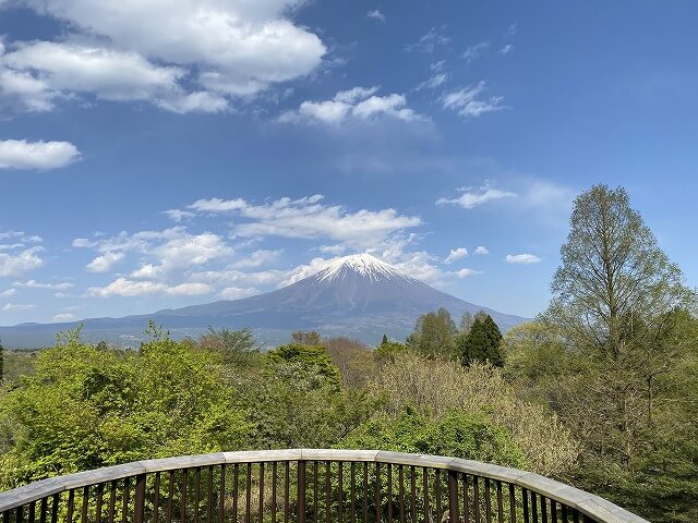 f:id:A---chan:20210503100327j:plain