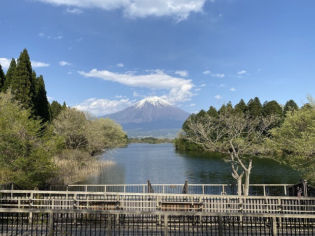 f:id:A---chan:20210503100842j:plain