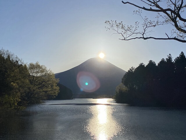 f:id:A---chan:20210503101138j:plain