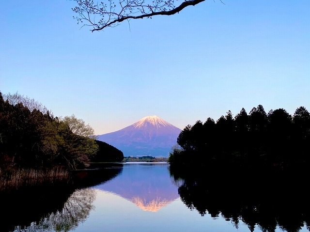 f:id:A---chan:20210514215720j:plain