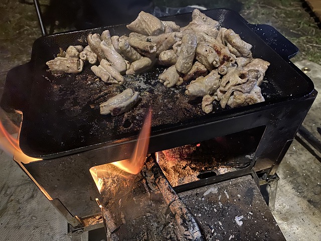 f:id:A---chan:20210514220122j:plain