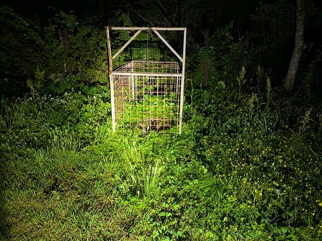 f:id:A---chan:20210615065149j:plain