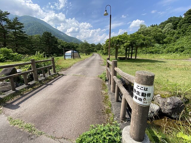 f:id:A---chan:20210706074706j:plain