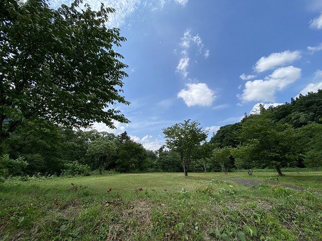 f:id:A---chan:20210707064855j:plain