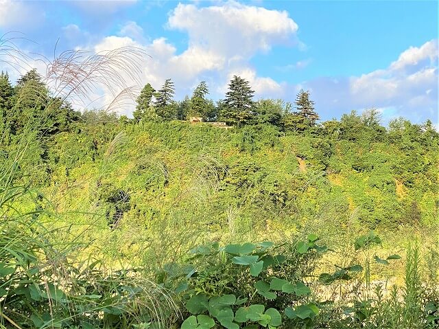 f:id:A---chan:20211008122149j:plain