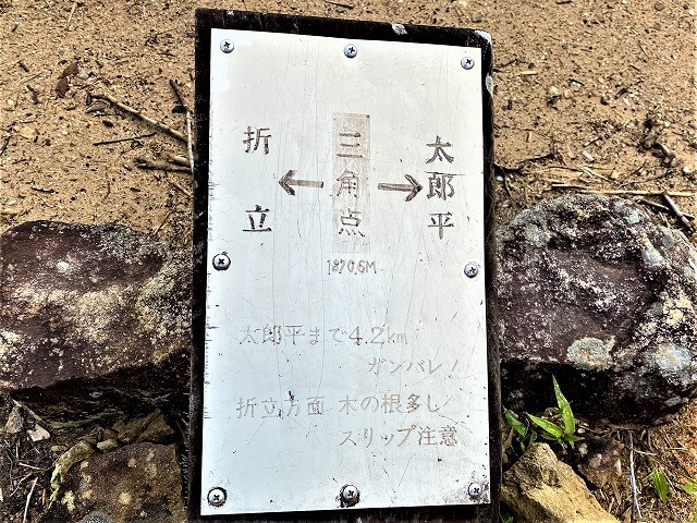 f:id:A---chan:20211029080610j:plain