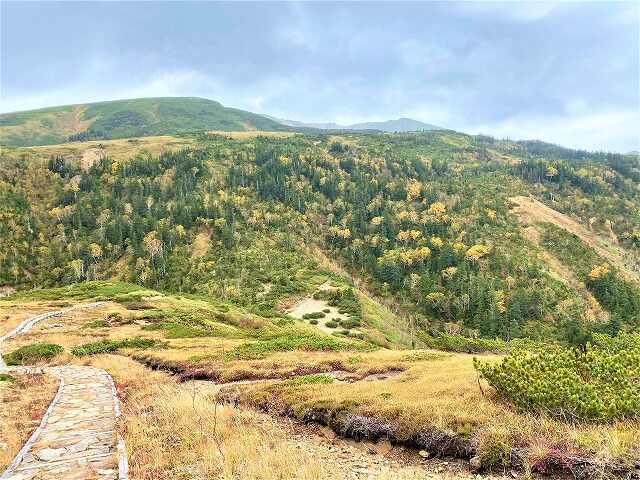 f:id:A---chan:20211029080751j:plain