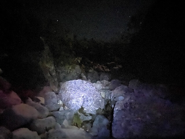 f:id:A---chan:20211029081007j:plain