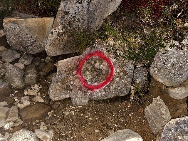 f:id:A---chan:20211029081014j:plain