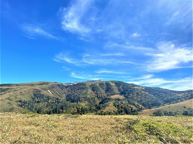 f:id:A---chan:20211029081336j:plain