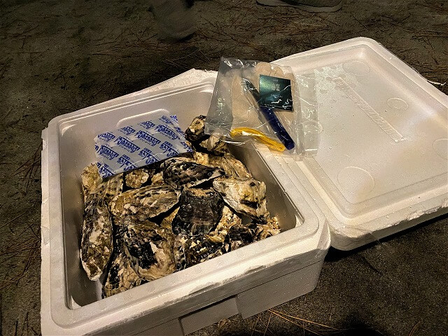 f:id:A---chan:20211111224838j:plain