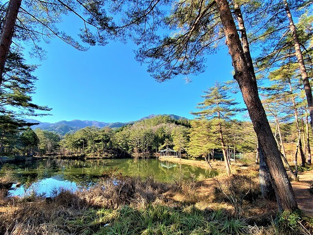 f:id:A---chan:20211219092357j:plain