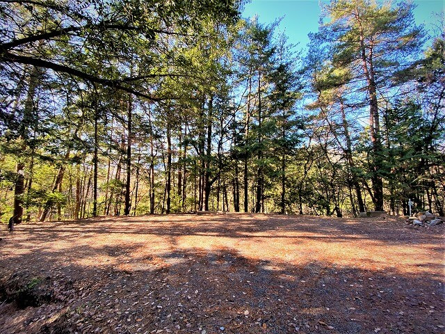 f:id:A---chan:20211219093901j:plain