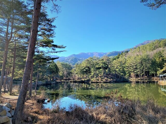 f:id:A---chan:20211219095241j:plain