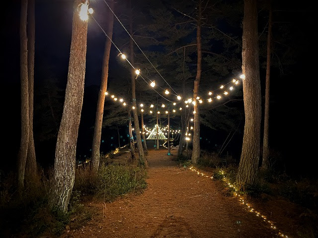 f:id:A---chan:20211219115839j:plain