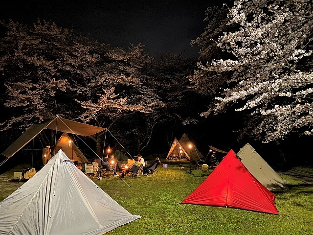 グループで花見キャンプを楽しもう！安居緑地広場（富山県）＃164
